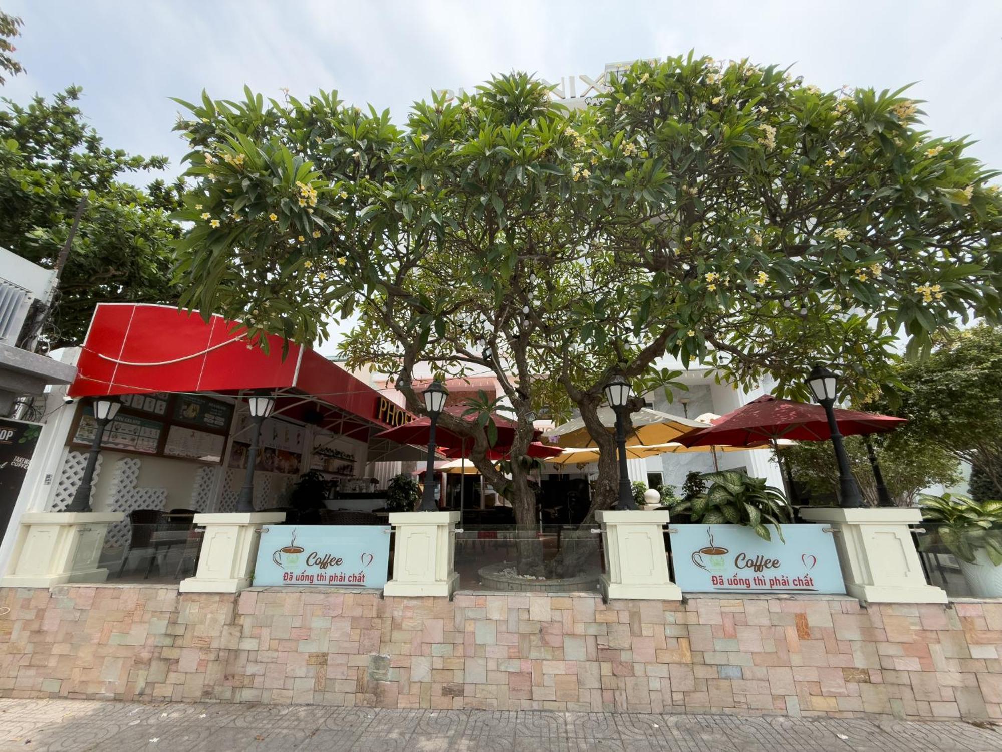 Phoenix Hotel Vũng Tàu Exteriér fotografie